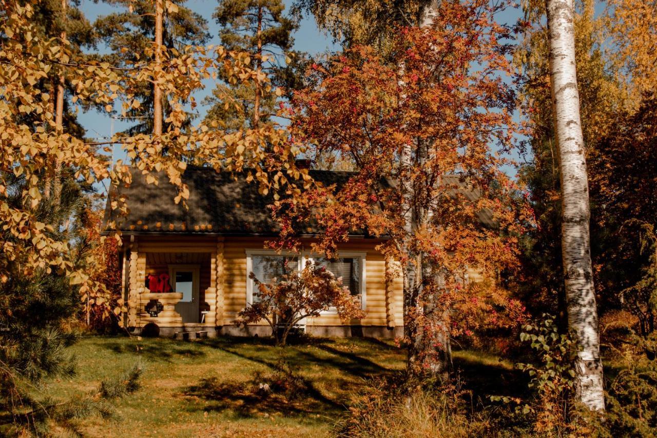 Mansikkaniemen Lomakeskus Rantasalmi Bagian luar foto