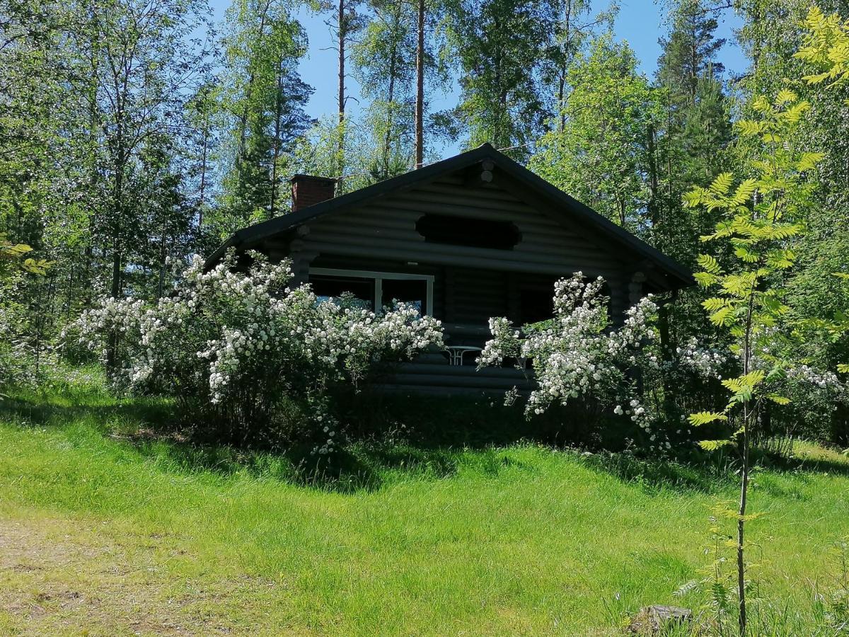 Mansikkaniemen Lomakeskus Rantasalmi Bagian luar foto